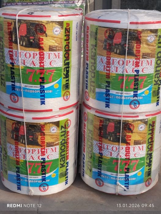 ALGORITM 777 IP 32000 dan