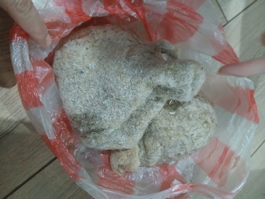 Құрқылтайдың ұясы емге