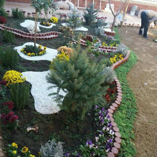 Professional landshaft xizmati gazon ekish palif