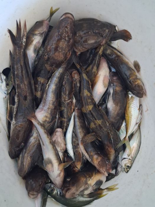 Pescuit din barcă la mare