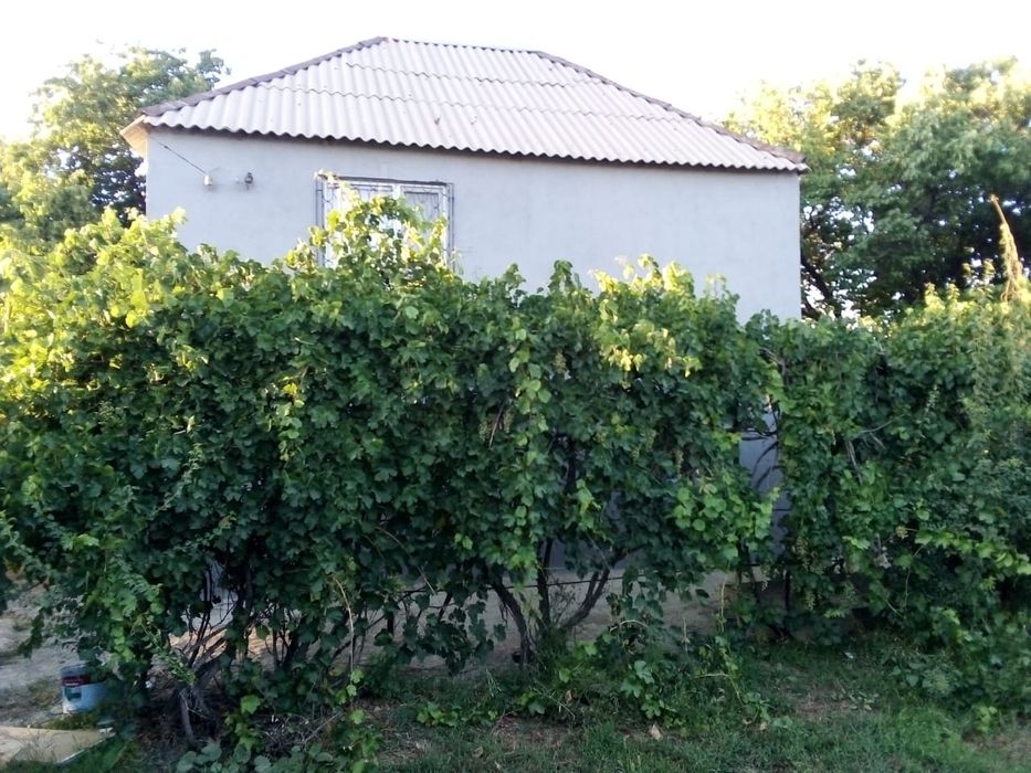 Продам Дачу Чубарсу 12 сотки. ( Варианты)