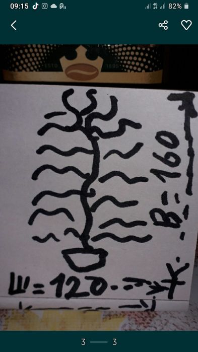 Настенный цветок