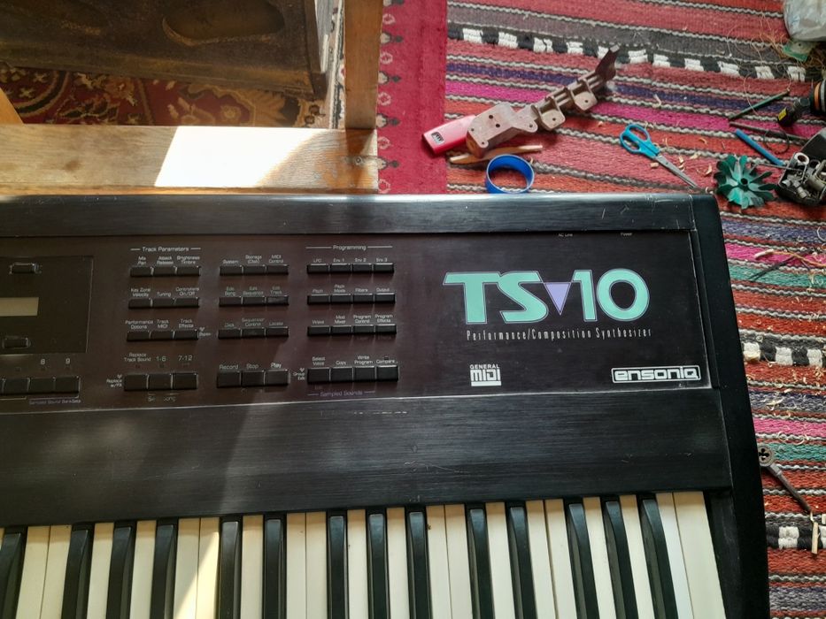 Ensonic ts 10 3.10 vrsya