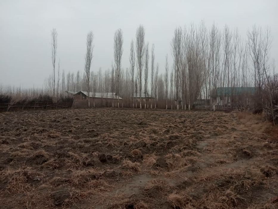 20 сотихли ер учаска сотилади Андижон Боз тумани Навруз МФЙ