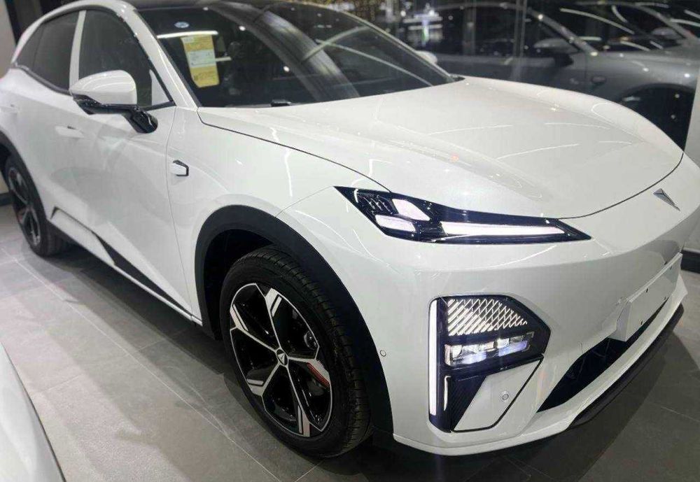 BYD sea lion banksiz rassrochkaga