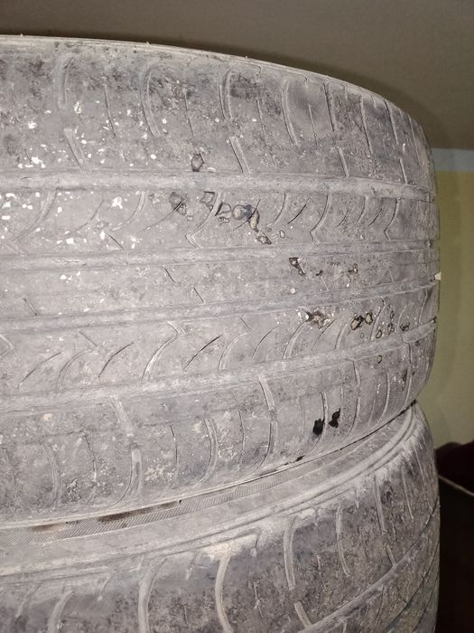 15 balon kareyiski shishkasi yoo yursa boladi