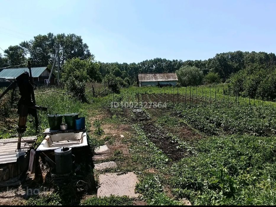 Продам дом в Согре