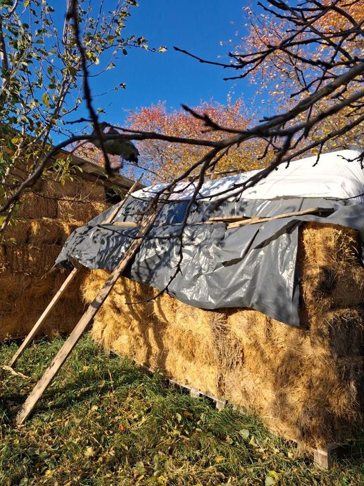 Baloți de lucernă premium, 100x55 cm