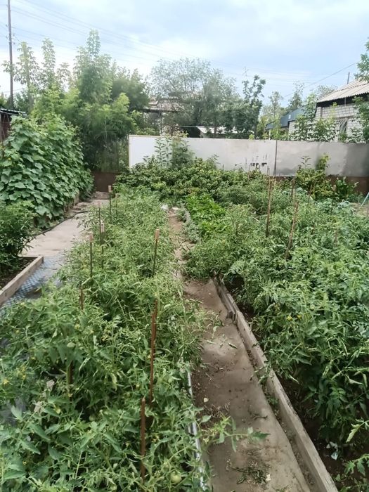 Продам дом с центральным отоплением