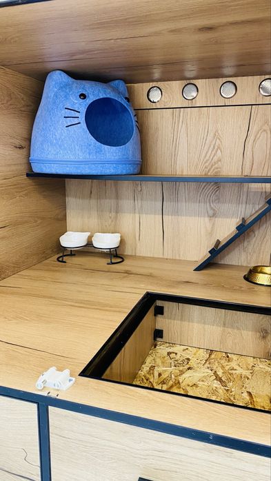 Зоогостиница. Заботливая передержка кошек от Олеси.