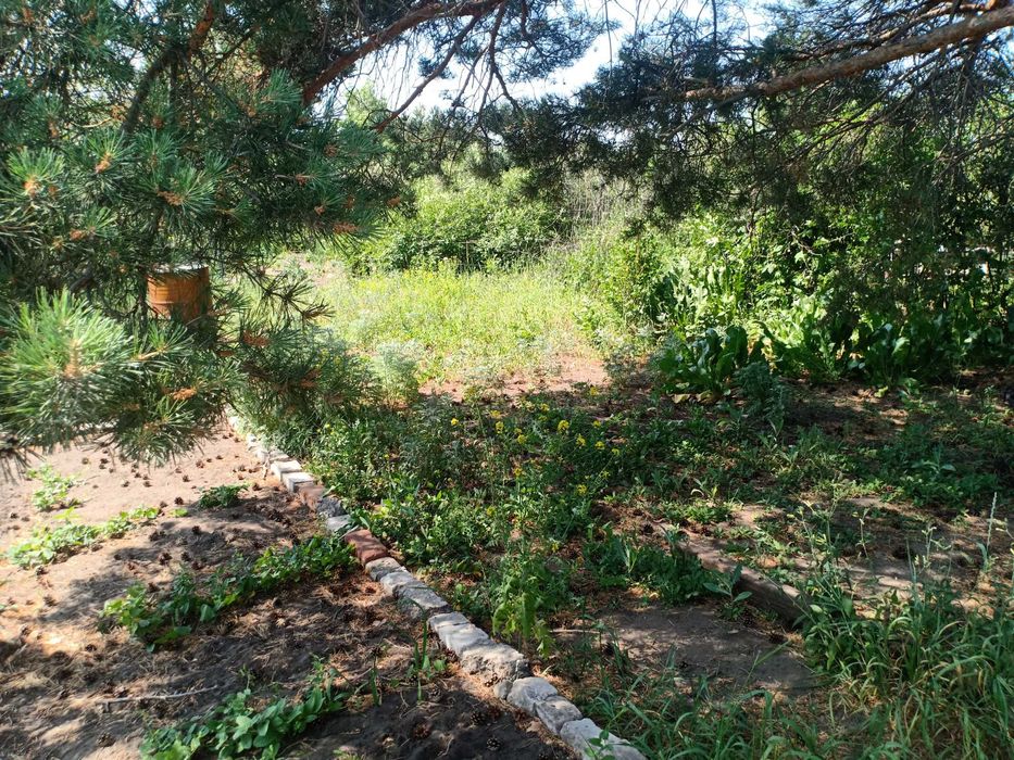 Продам дачу в СО "Автомобилист"