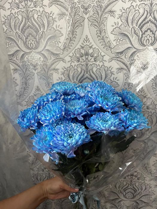 Гүлдер буклеттер.