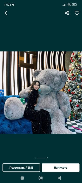 Teddy Teddy orginal xitoy