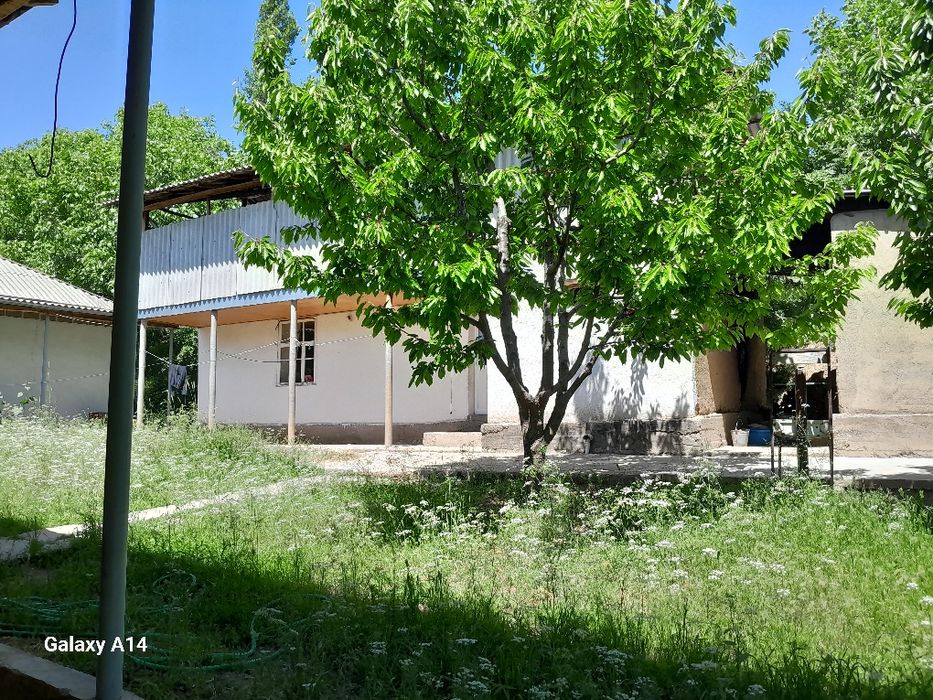 Галавасой паселкаси Тогизкол кучаси 8 чи уй котта ховли уй 24 сотик