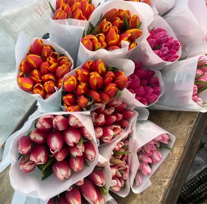 Тюльпаны на 14 февраля и 8 марта