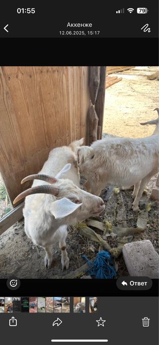 Решотка бар 20 шт ограждения