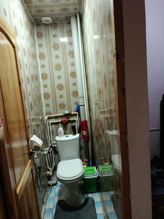 3 Хонали Шарк 1 16 Школа