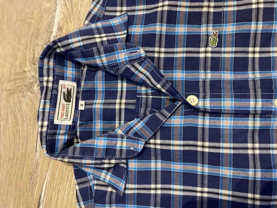 Ризи Tommy Hilfiger, Ralph Lauren, Lacoste