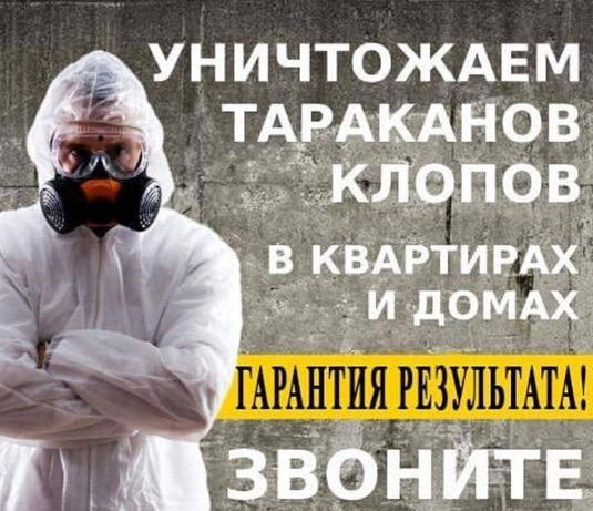 Дезинфекция , дезинсекция