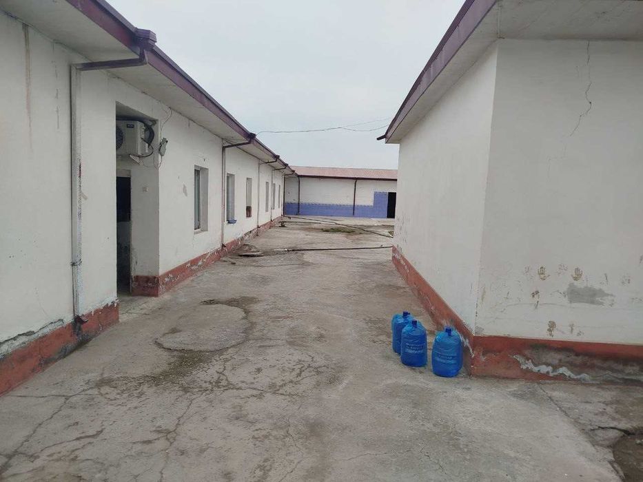 Go`sht va baliq maxsulotlarini qayta ishlash va maxsulotlarni saqlash