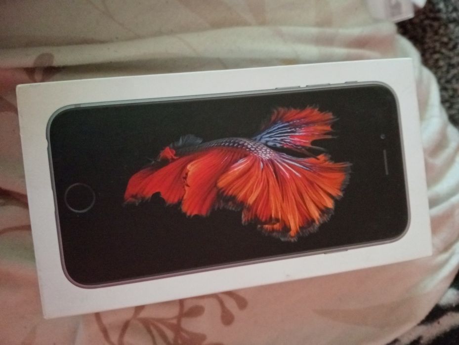 3 cutii iPhone Xs, 7 și 6