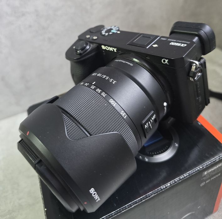 Sony Alpha 6600 & Ronin s
