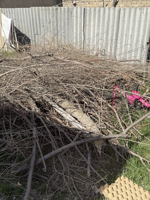 Дрова отын дрова