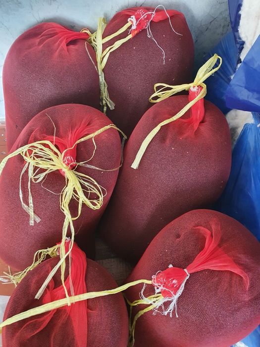 Banko nomli piyoz urug'i 100% ishonchli