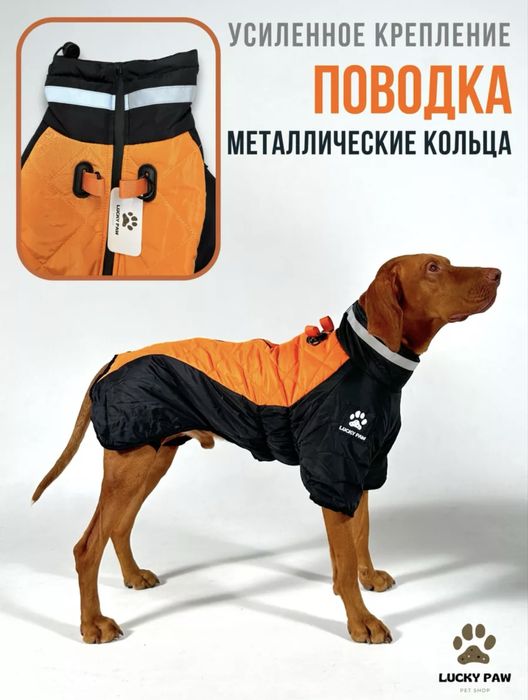 Одежда для собак