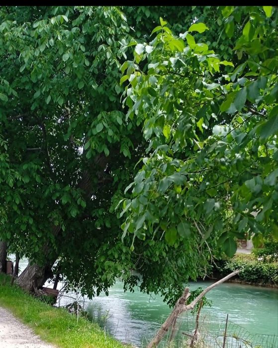 Продаётся частный дом 6 соток Азотчик возле канала 50000$