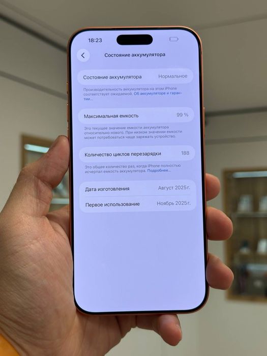iPhone 17 Pro Max | 256 GB