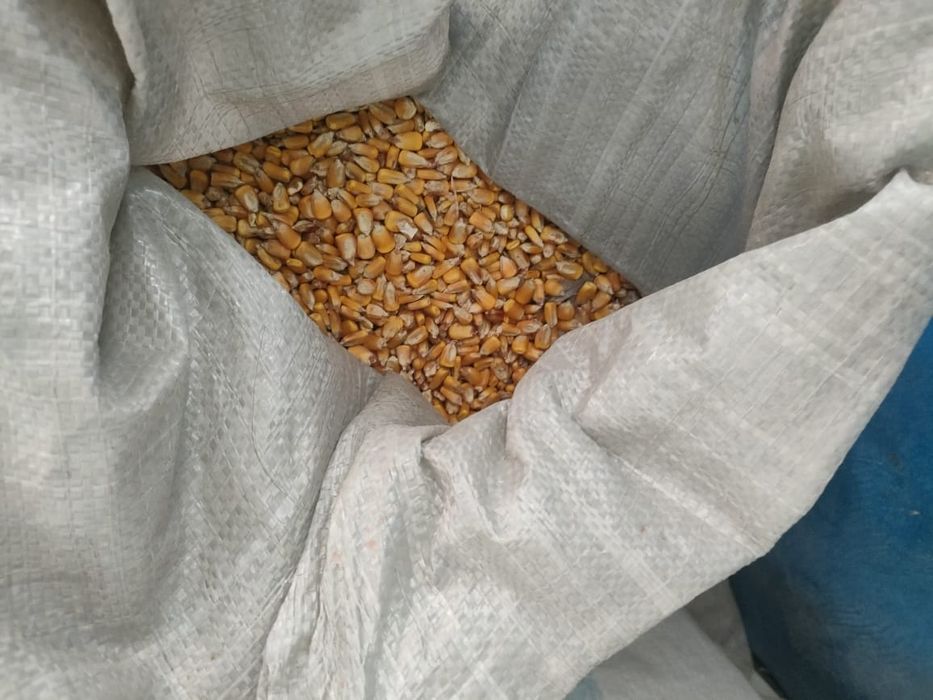 Корм для животных и птиц