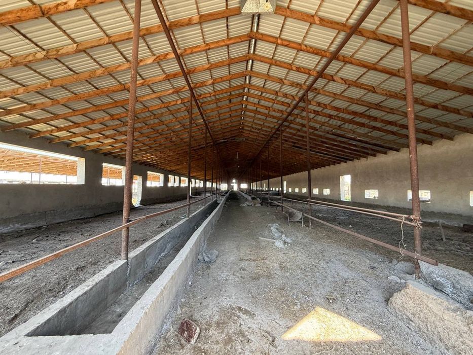 Tayyor 4,5 gektarli ferma sotiladi (Buxoro/kogon)