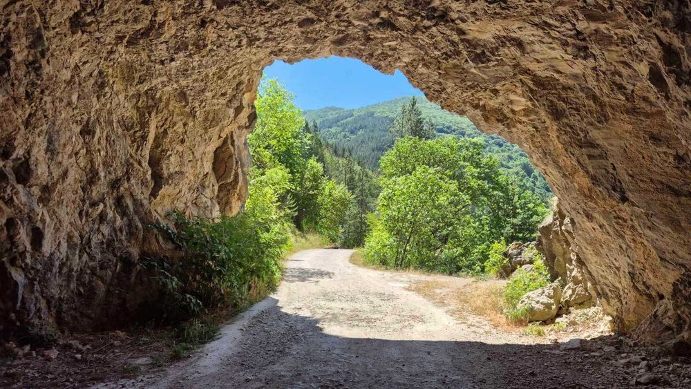 Парцел в село Зелениград, Община Трън
