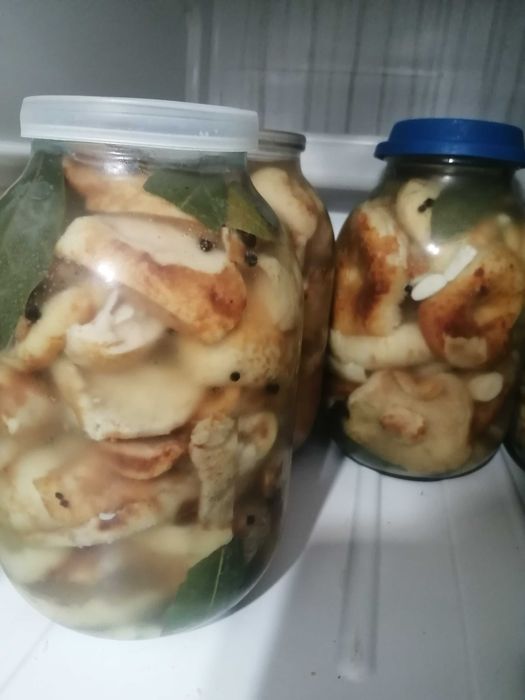 грибы маринованные