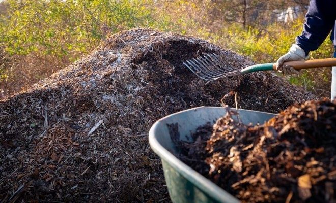 Компост для шампиньонов,  обучение
