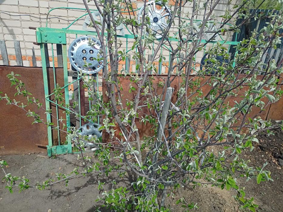 Калитка металлическая