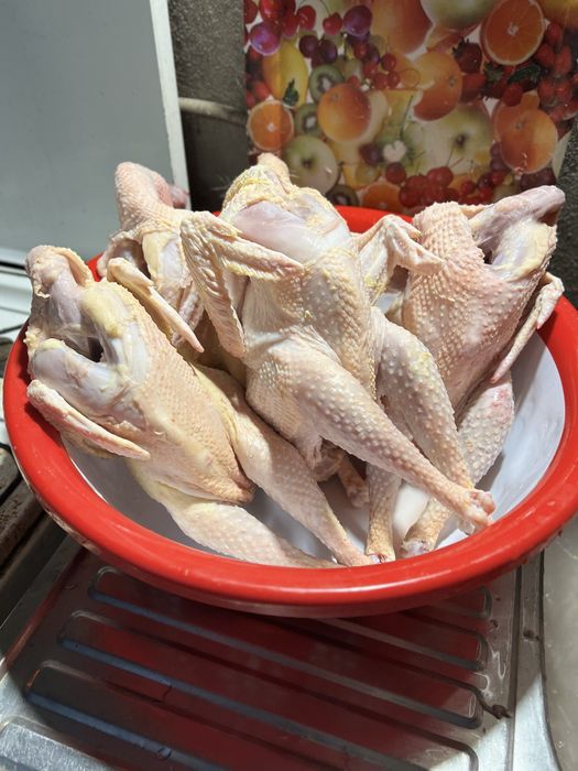 Tavuq Тавуқ гўшти Хўроз гўшти бор хоаки халол сўйилган