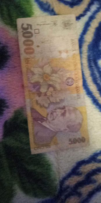 Aştept oferte licitație
