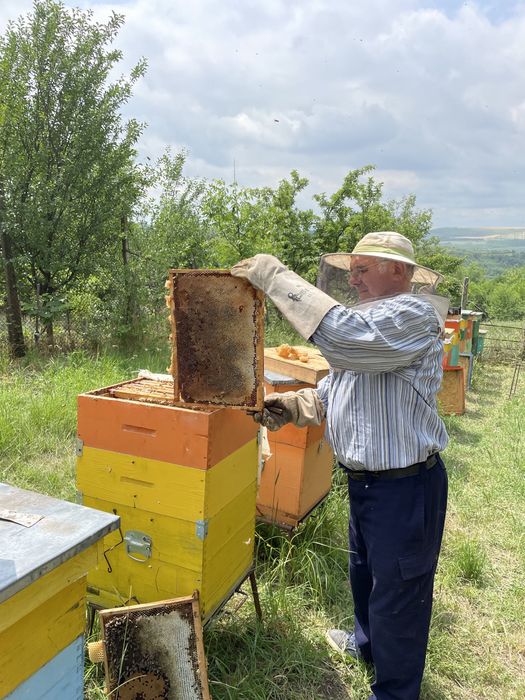 Vând miere naturală 2025