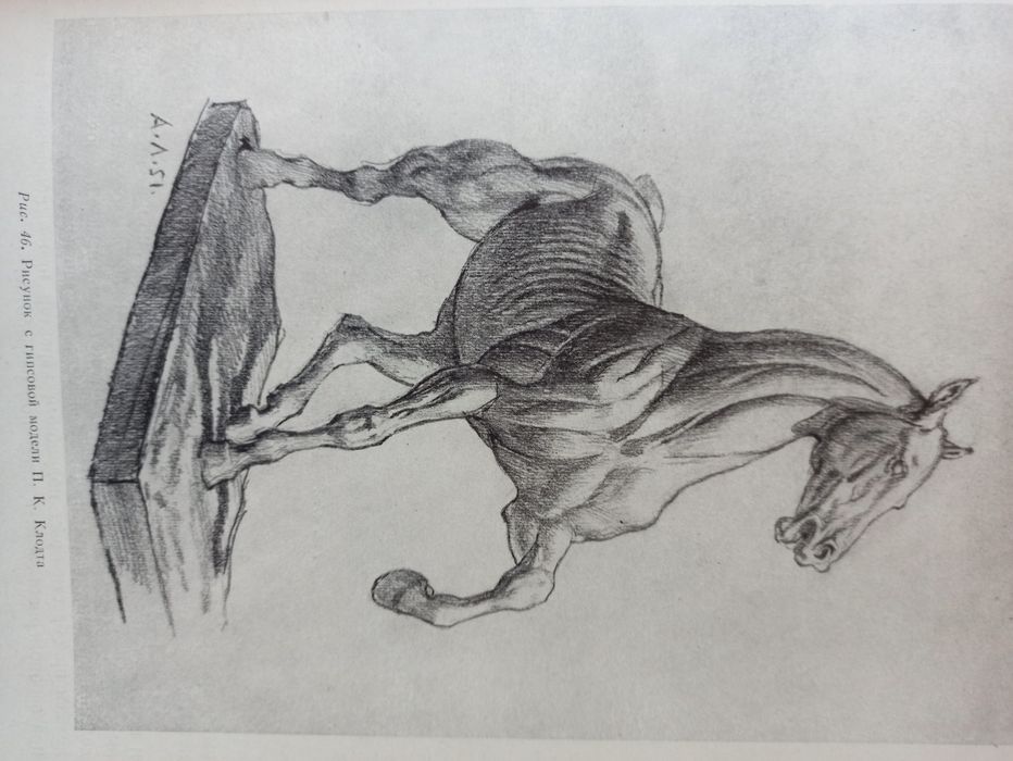 Как рисовать лошадь - Как да нарисуваме кон