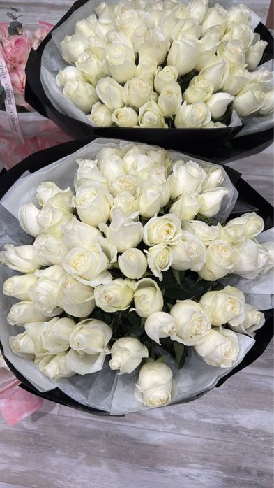 Цветы , свежие розы