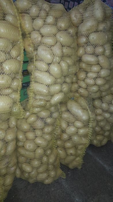 Продавам Картофи