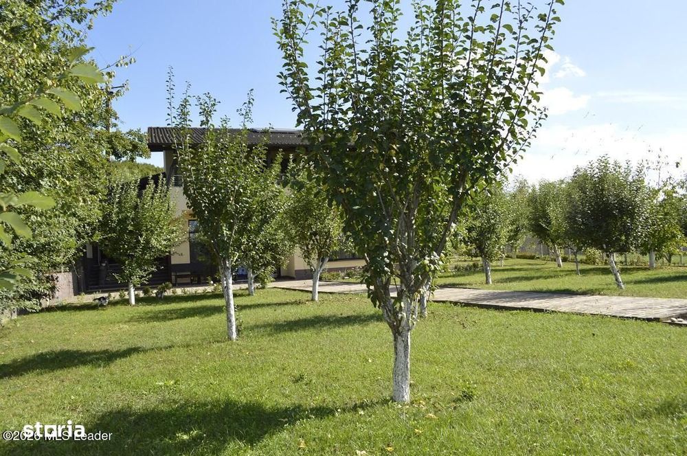 Titesti - Casa la Cheie D+P+M, 254 Mp, Teren 1130 Mp