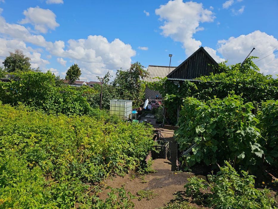 Продам дачу в саду "Клён"
