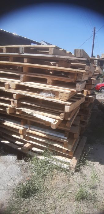 Продам поддоны на выбор