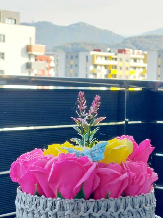 Regim Hotelier Brasov Avantgarden3 Acceptam Card/Vouchere de Vacanta