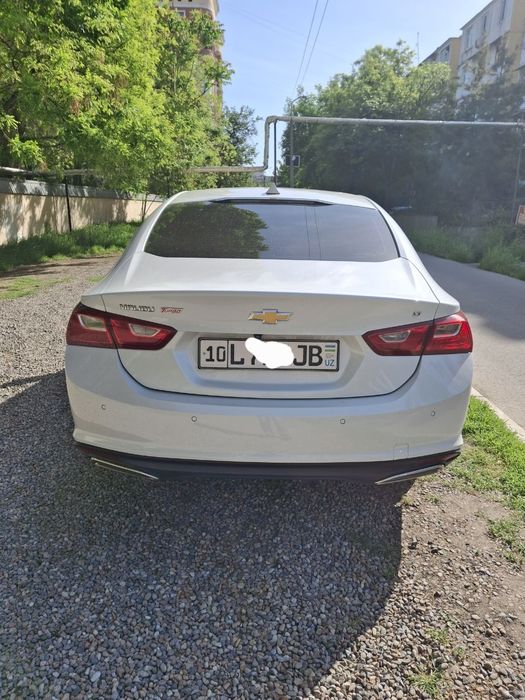 Сухой аренда бераман