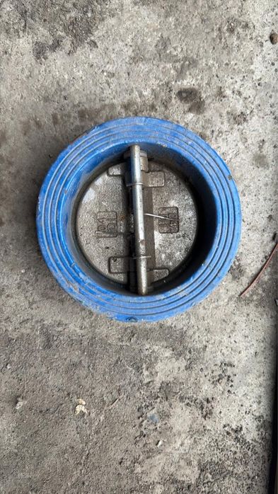 Обратный клапан Ду 100