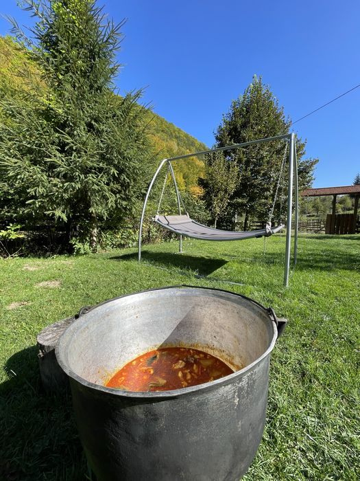 Cabana superba de vanzare in Ocolis,Alba 2500mp teren